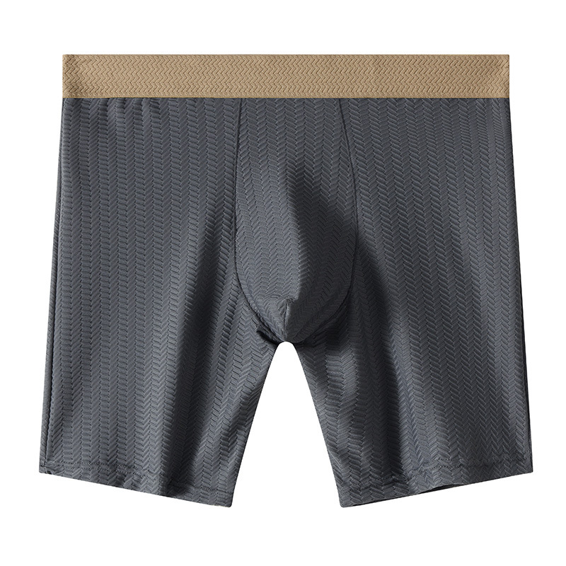 Mens Boxer Shorts Homme Nylon  - Long Leg Trunk Men บทวิจารณ์และราคา