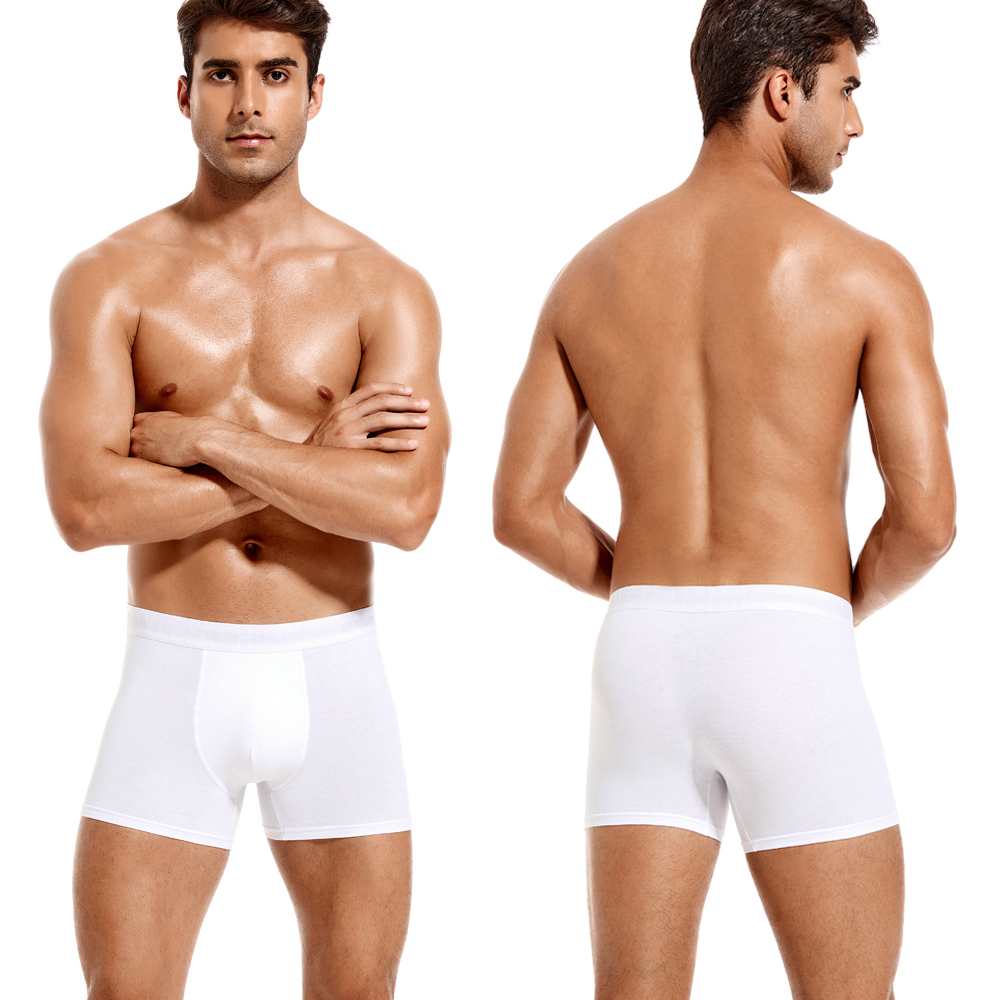 6pcs White Men Panties Cotton  - Boxer Brief Pack Cotton บทวิจารณ์และราคา