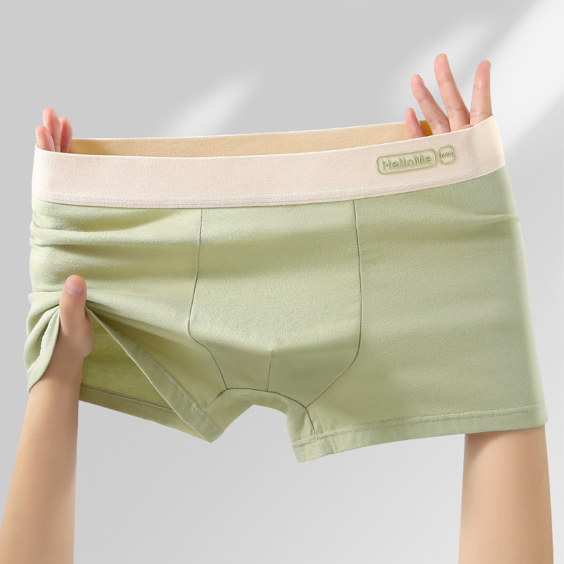 L-4XL Breathable Cotton Men Bo - Boxer Brief Pack Cotton บทวิจารณ์และราคา