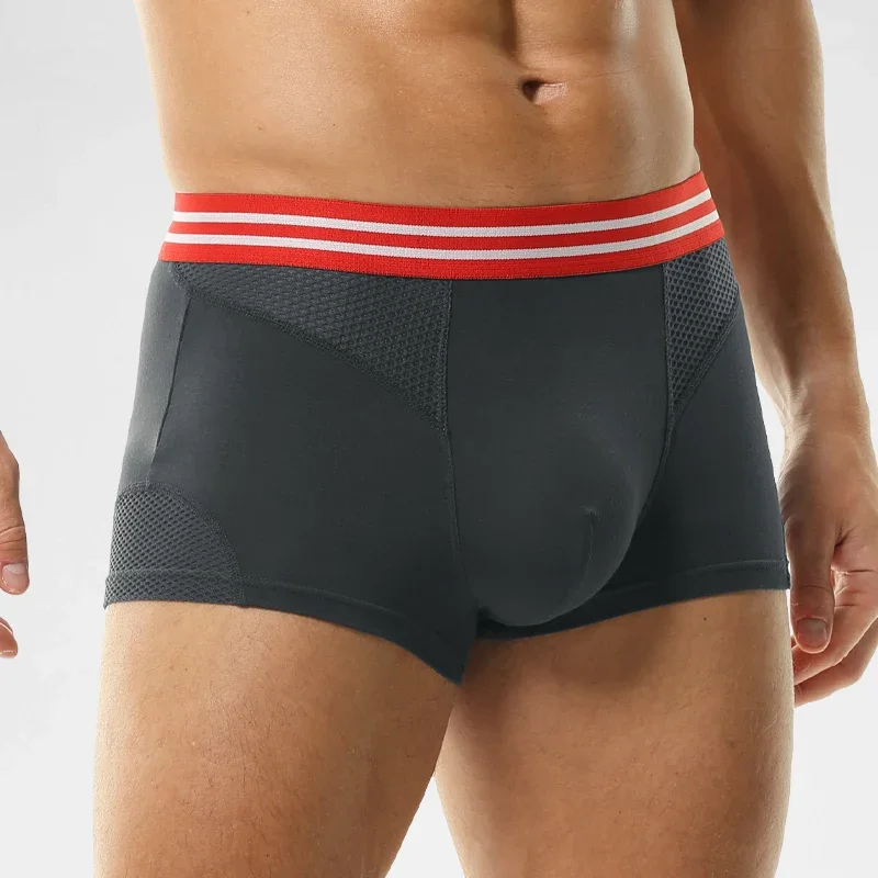 Underwear Men's boxers Modal m - Mesh Sport Boxer บทวิจารณ์และราคา