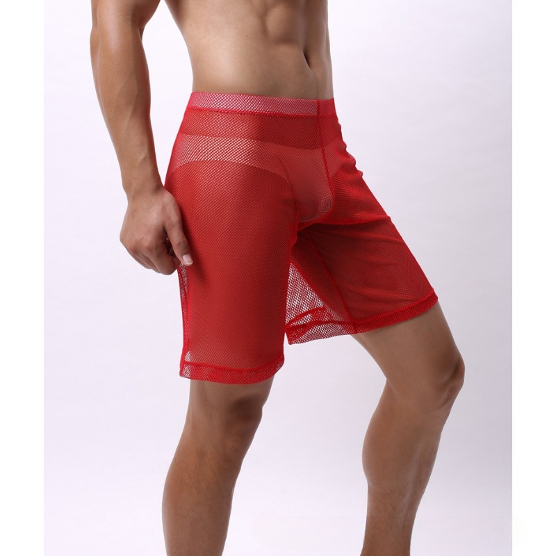 Low Rise Mesh Erotic Underwear - Pouch Boxer Pouch บทวิจารณ์และราคา
