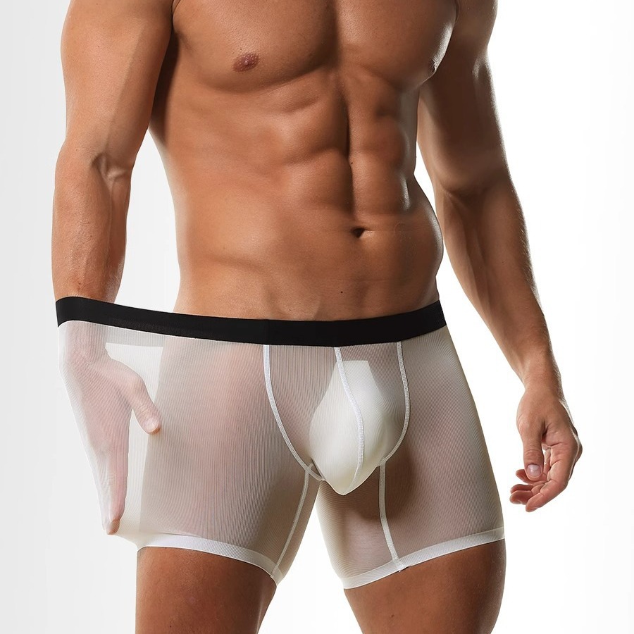 Mens Long Leg Boxer Shorts Ice - Long Leg Trunk Men บทวิจารณ์และราคา