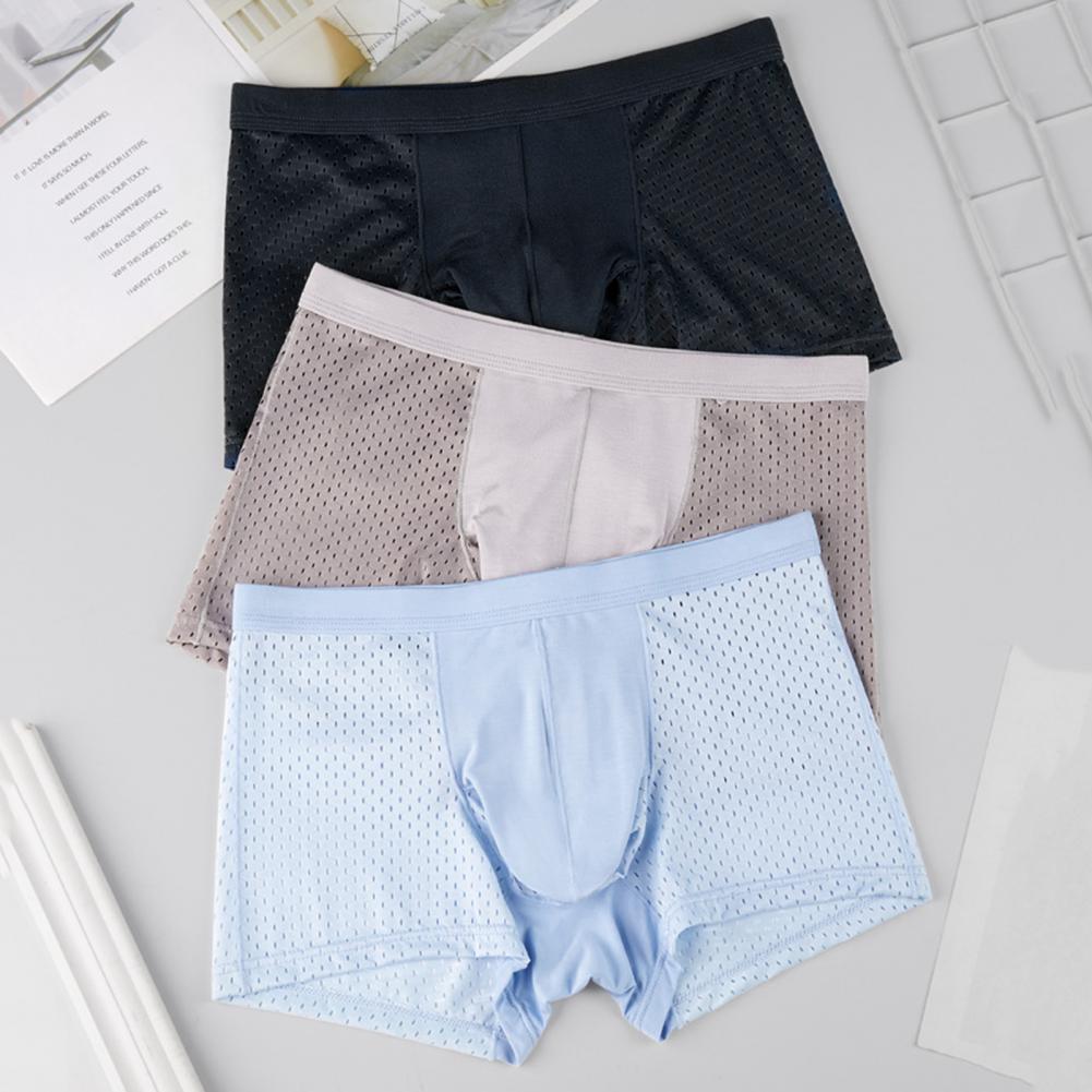 2025 M-3XL Men Boxers Elephant - Mesh Sport Boxer บทวิจารณ์และราคา